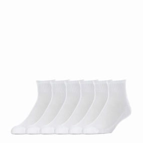 6 Pack Medium Quarter