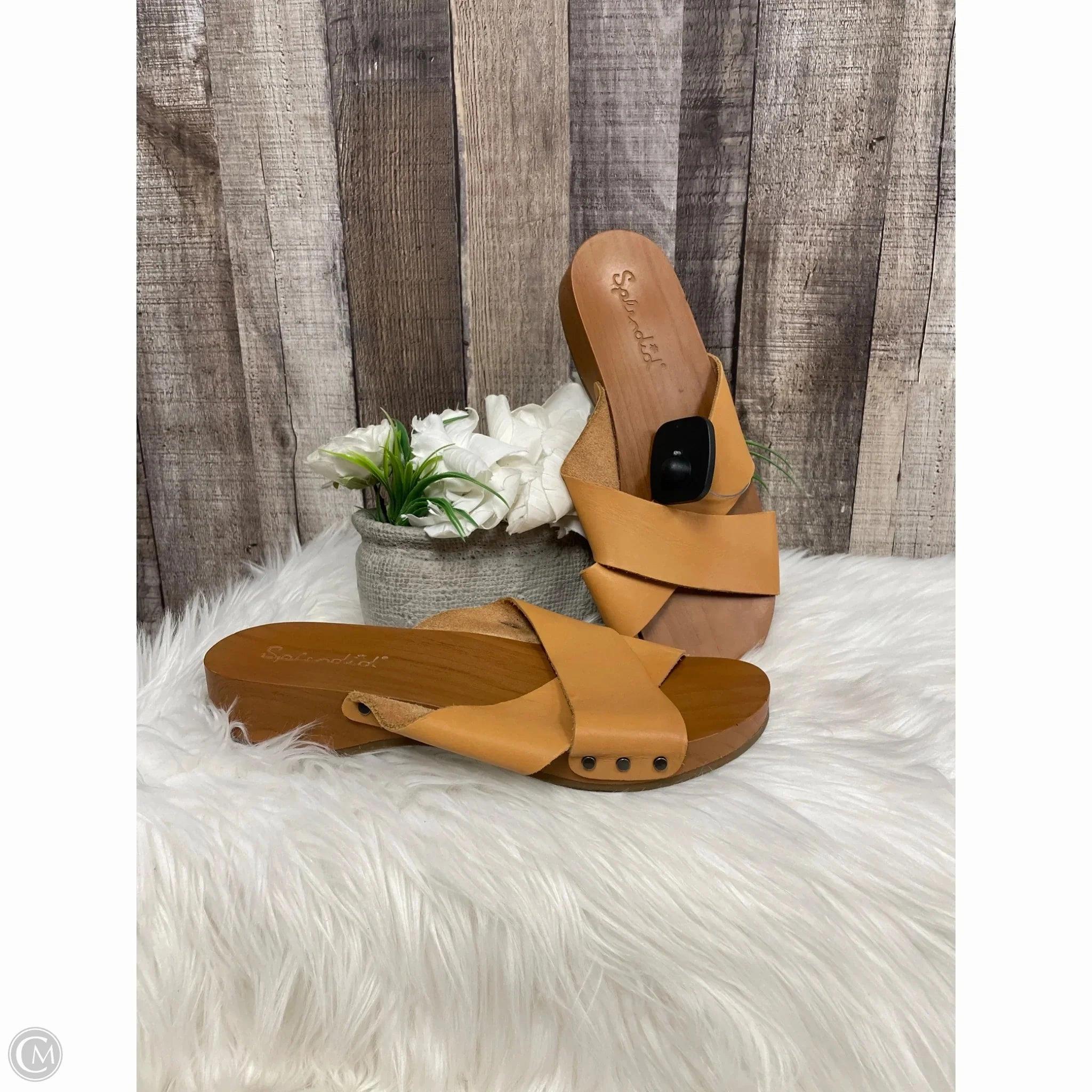 Sandals Flats By Splendid In Brown, Size: 10