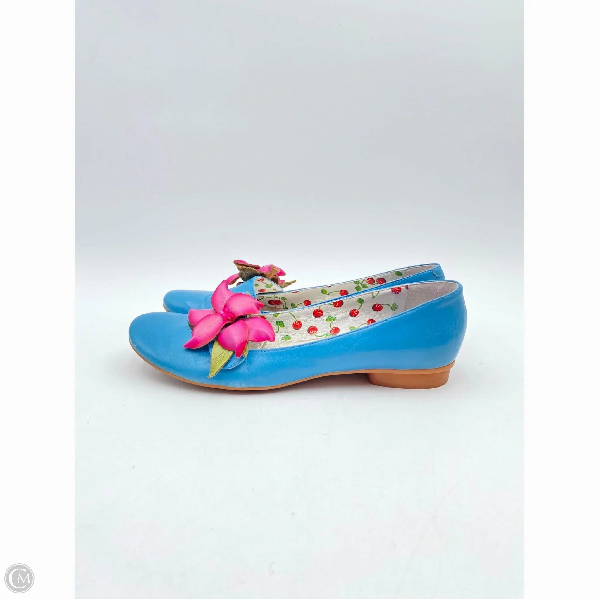 Shoes Flats By Clothes Mentor In Blue & Pink, Size: 9