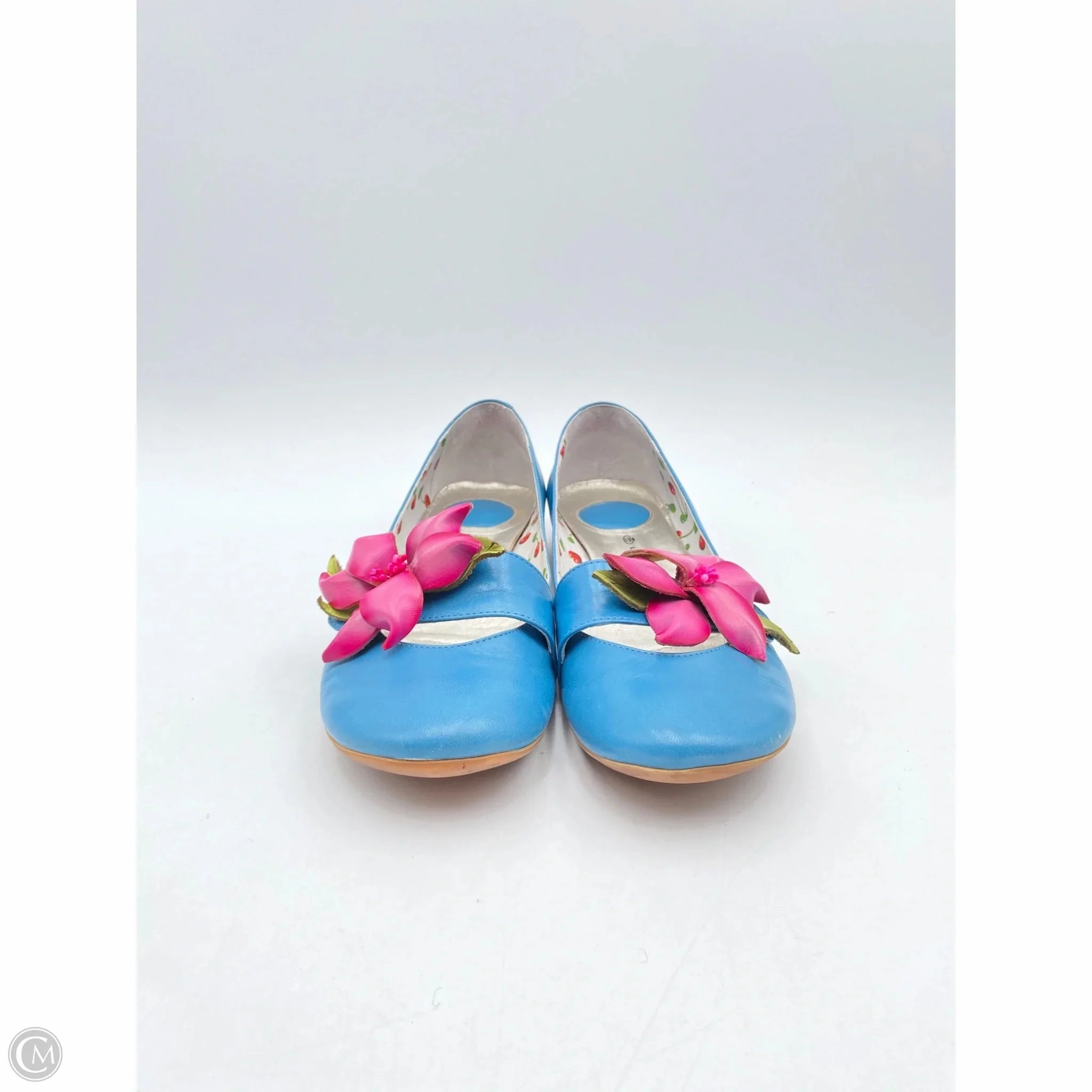 Shoes Flats By Clothes Mentor In Blue & Pink, Size: 9