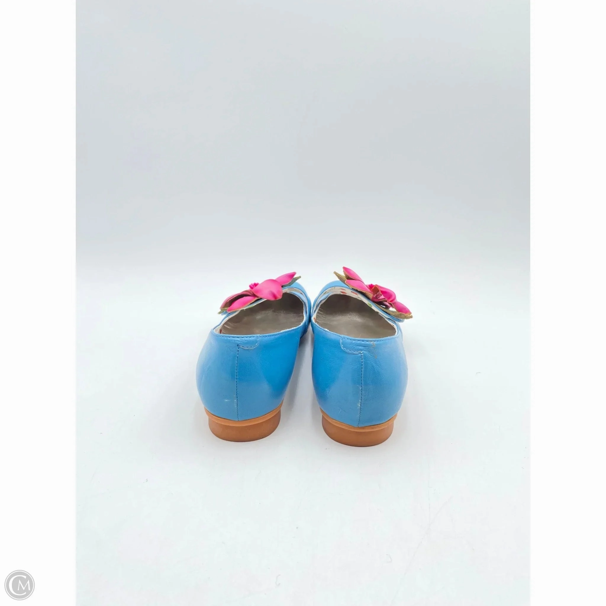 Shoes Flats By Clothes Mentor In Blue & Pink, Size: 9