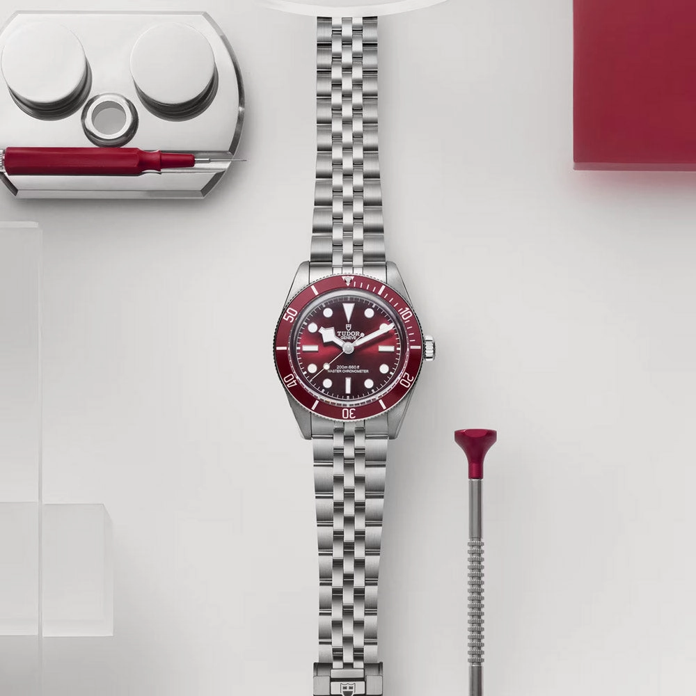TUDOR Black Bay 58 39mm Burgundy Dial Watch M7939A1A0RU-0001