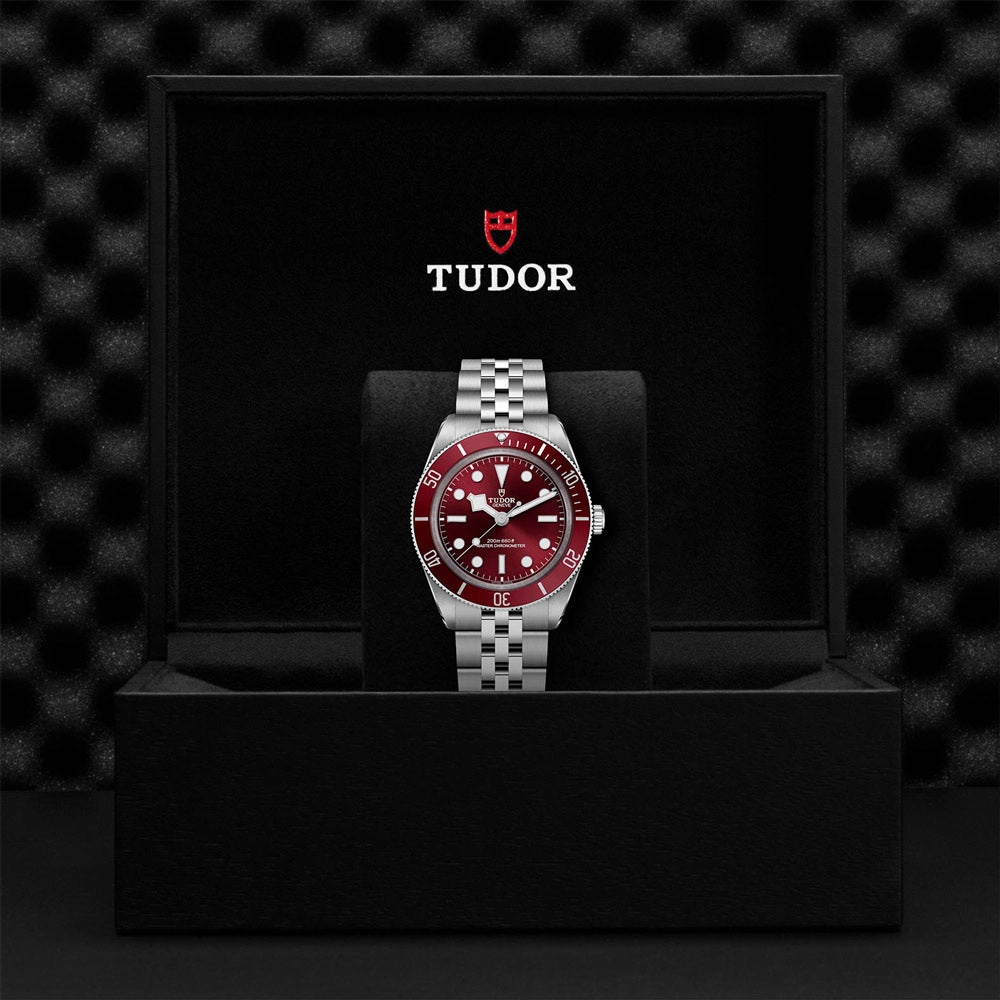 TUDOR Black Bay 58 39mm Burgundy Dial Watch M7939A1A0RU-0001