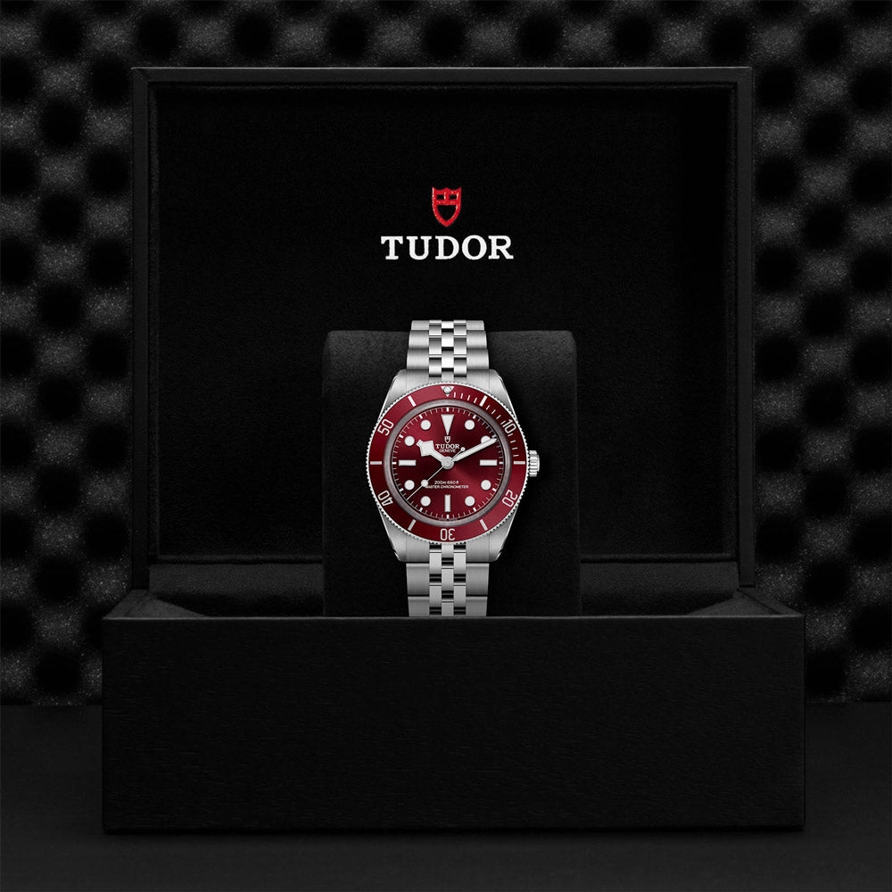 TUDOR Black Bay 58 39mm Burgundy Dial Watch M7939A1A0RU-0001