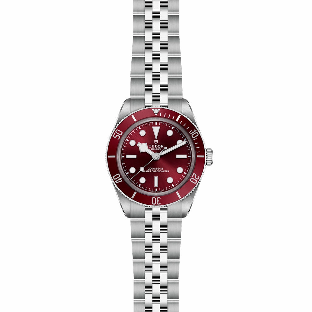 TUDOR Black Bay 58 39mm Burgundy Dial Watch M7939A1A0RU-0001