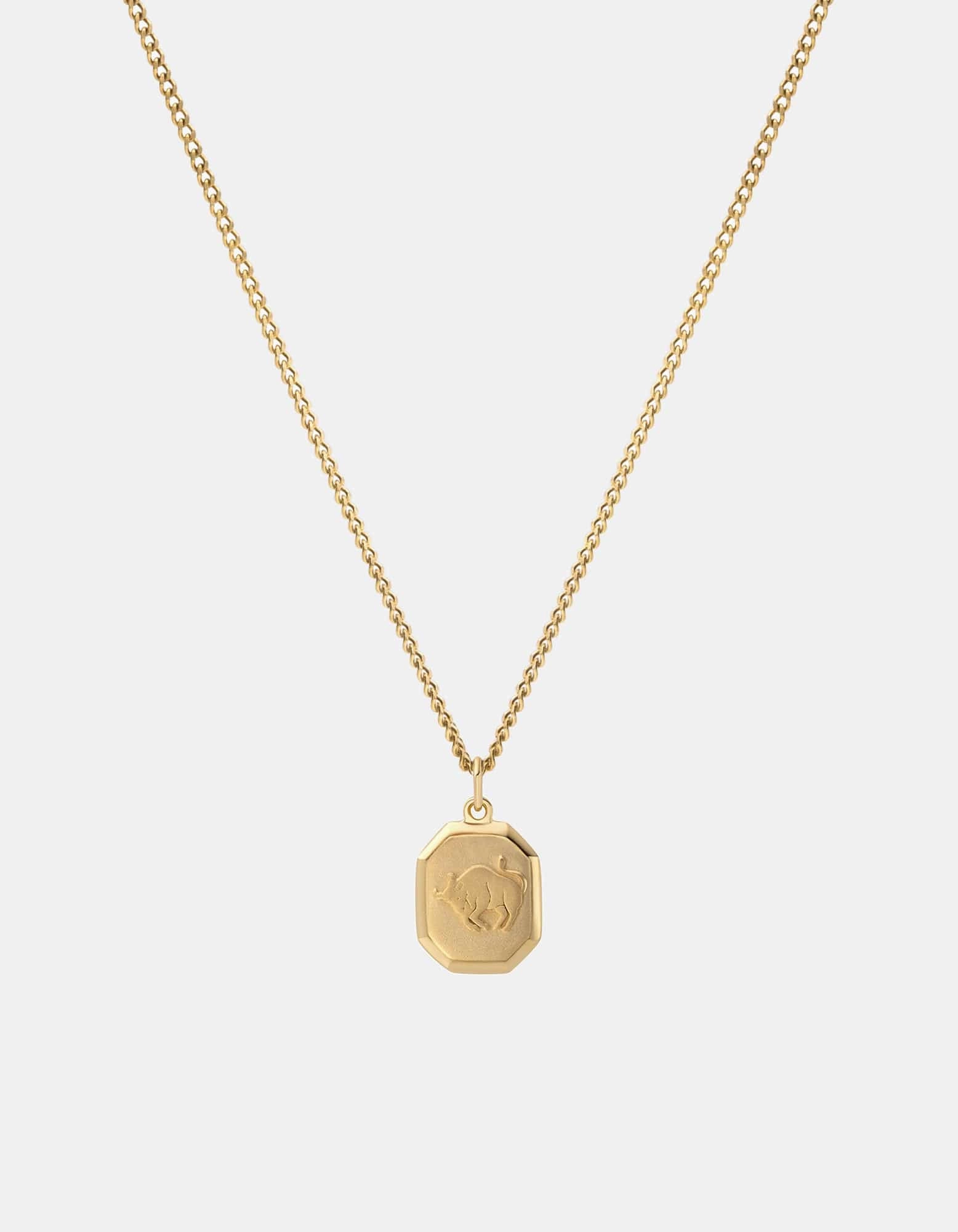 Zodiac Nyle Necklace, Gold Vermeil