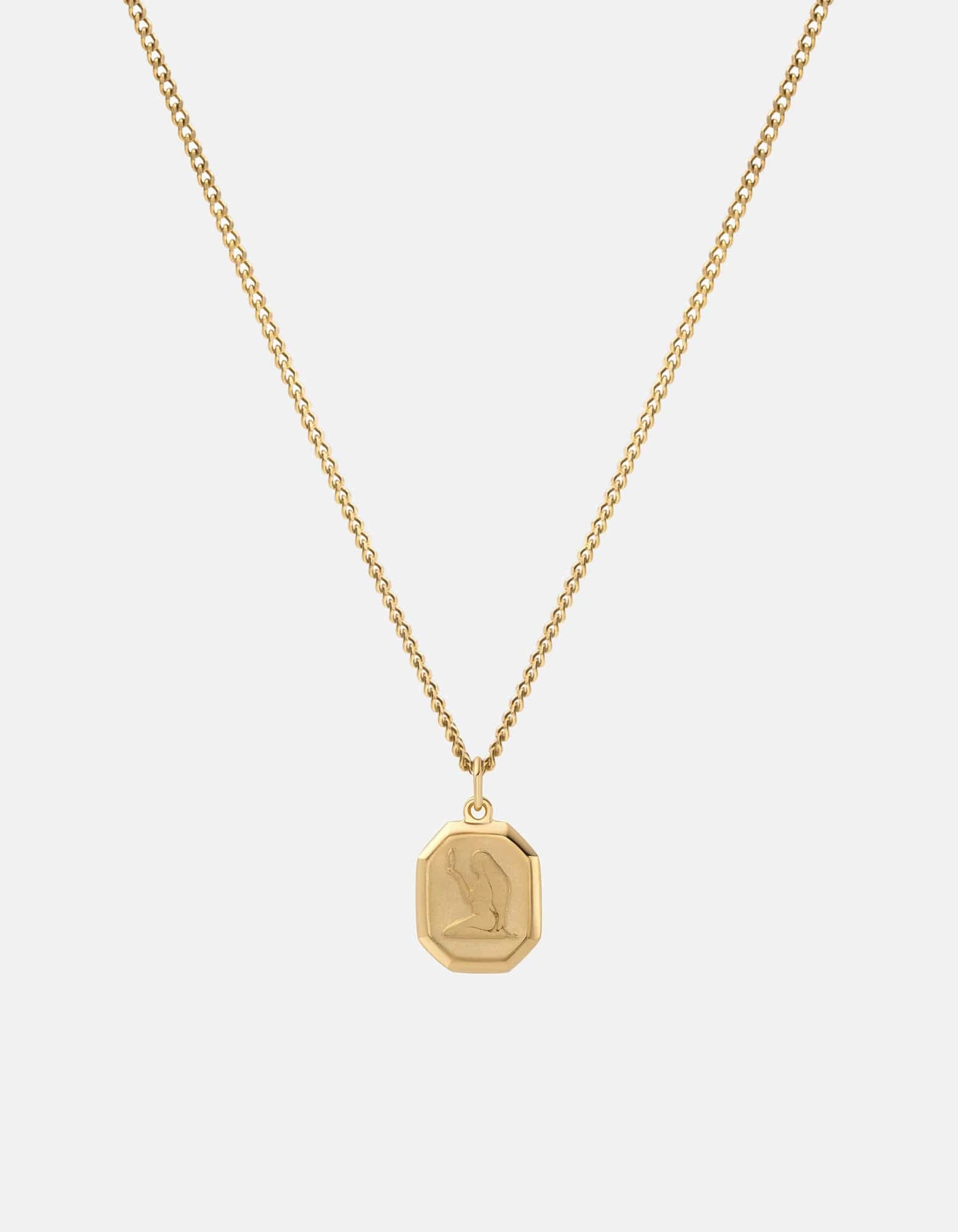 Zodiac Nyle Necklace, Gold Vermeil