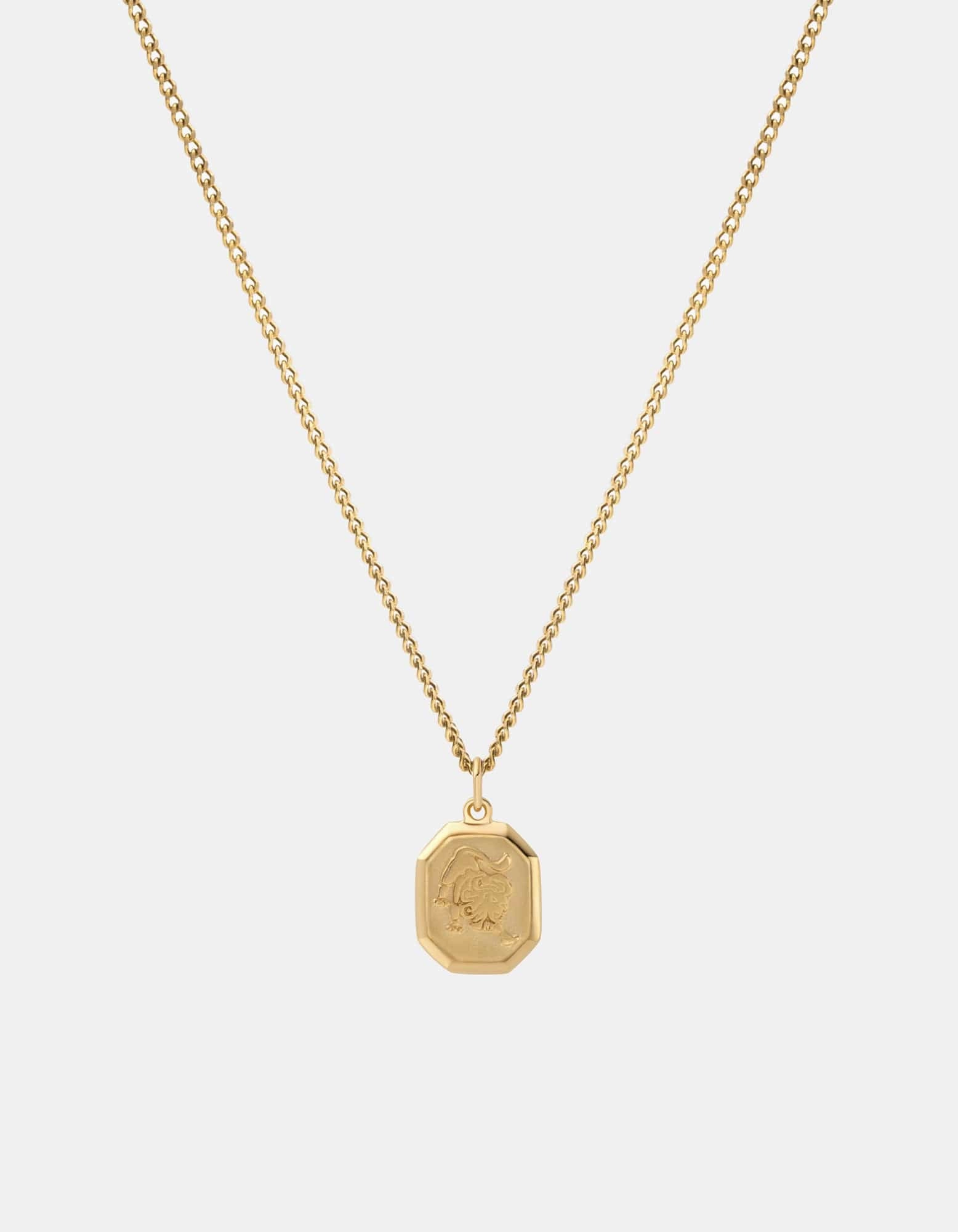 Zodiac Nyle Necklace, Gold Vermeil